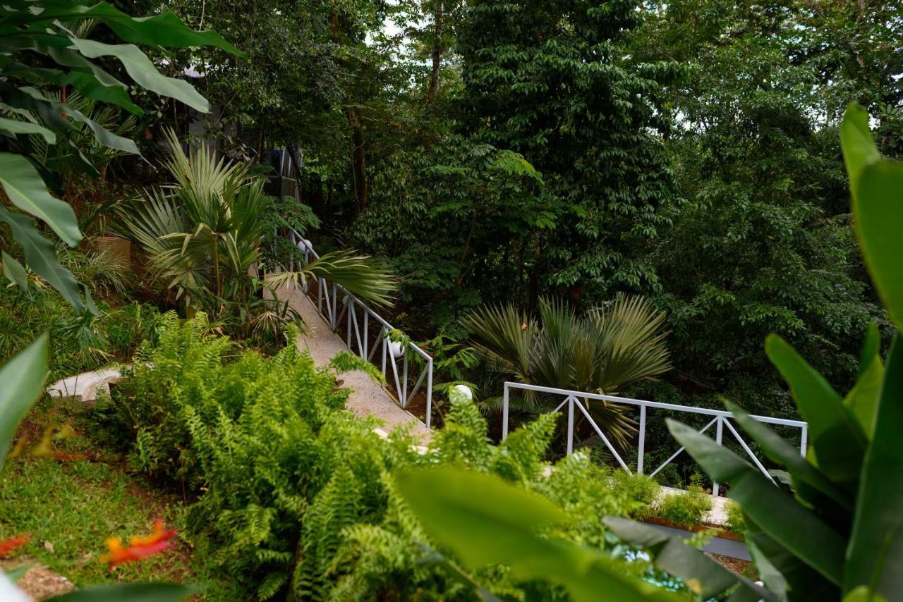 Volcano Gold Loft La Fortuna Exterior foto