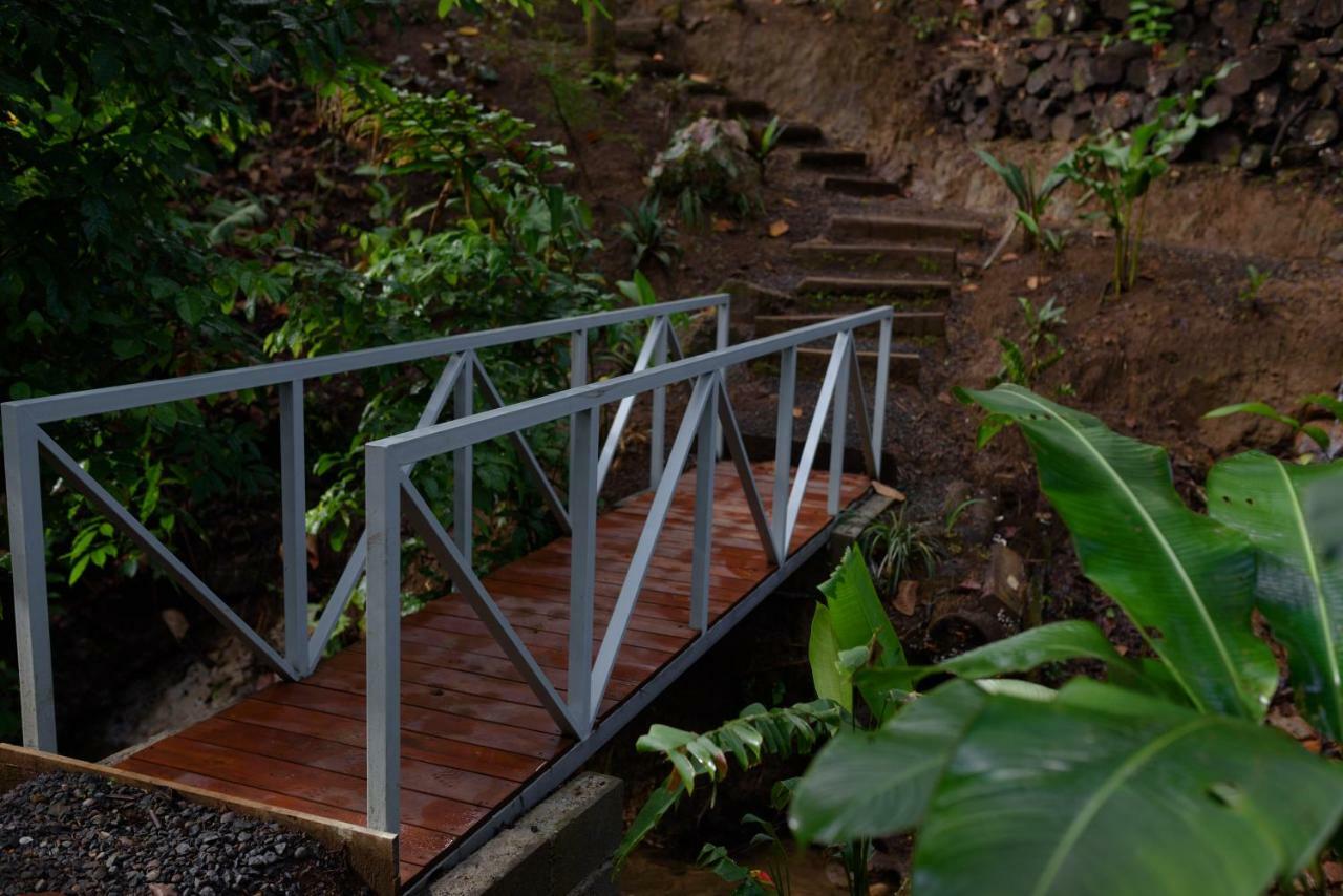 Volcano Gold Loft La Fortuna Exterior foto