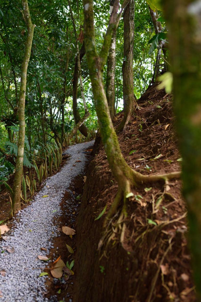 Volcano Gold Loft La Fortuna Exterior foto
